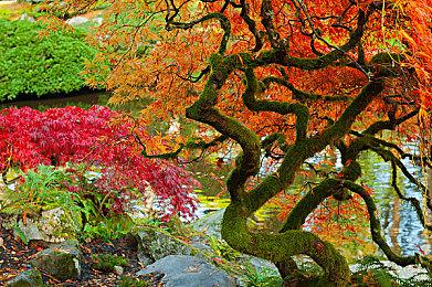 火龙的咆哮震撼来袭《妖精的尾巴2》纳兹燃爆预告